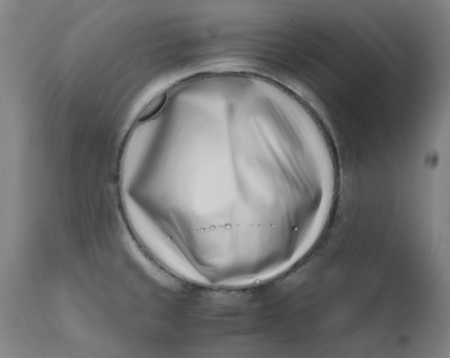 X0000110671429200907021835