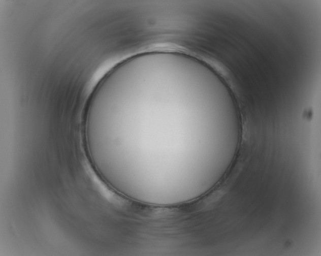 X0000110671430200907021835