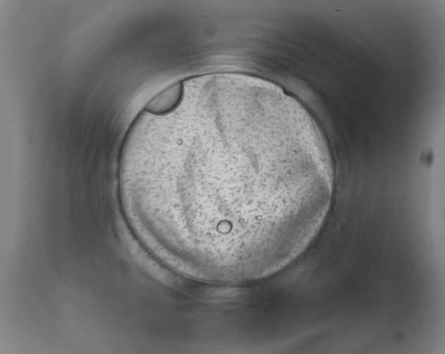 X0000110671431200907021835