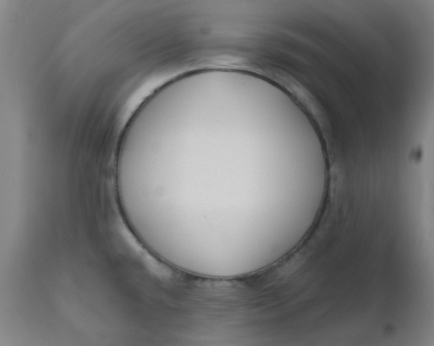X0000110671432200907021835