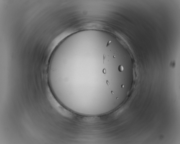 X0000110671434200907021835