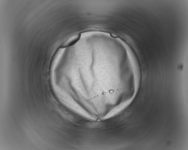 X0000110671435200907021835