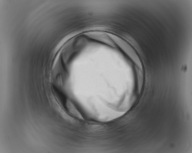 X0000110671436200907021835