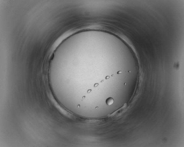 X0000110671437200907021835