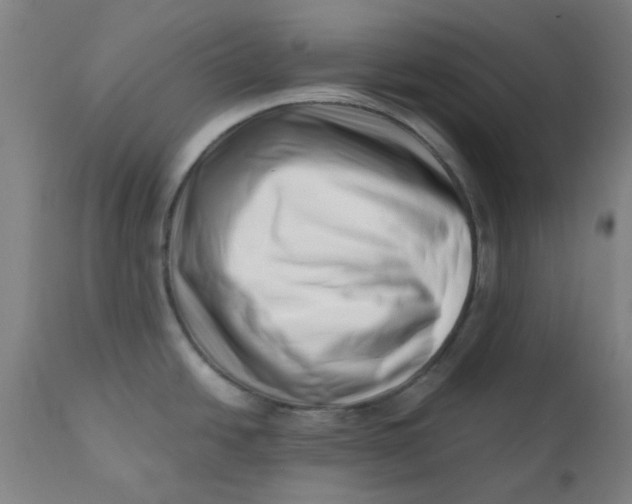 X0000110671438200907021835