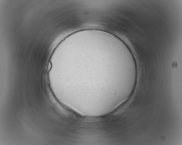 X0000110671440200907021835