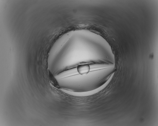 X0000110671441200907021834
