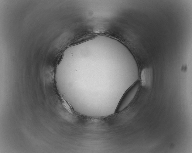 X0000110671443200907021834