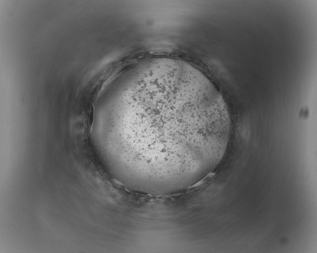 X0000110671445200907021834