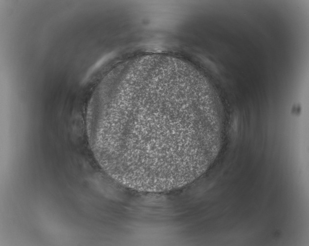 X0000110671446200907021834