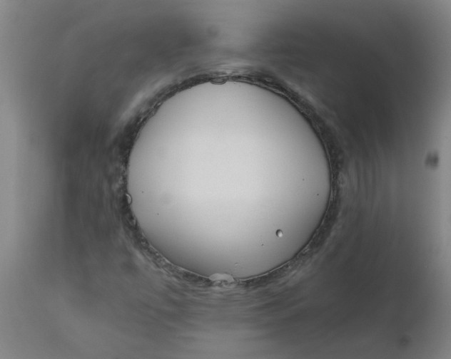 X0000110671447200907021834