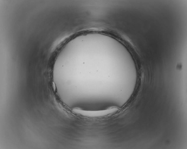 X0000110671448200907021834