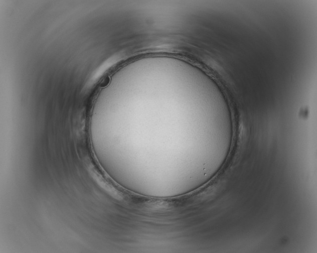 X0000110671450200907021834