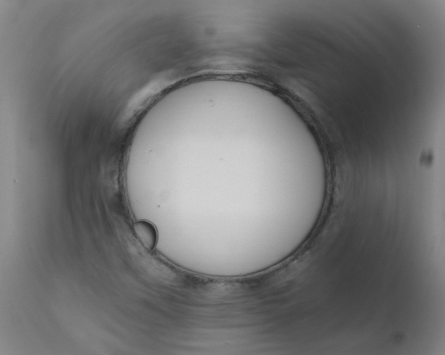 X0000110671451200907021834