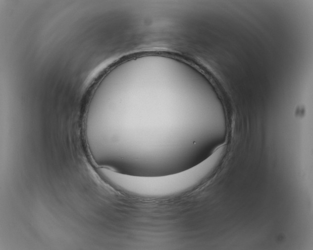 X0000110671452200907021834
