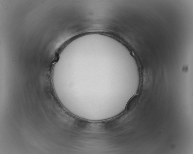X0000110671453200907021834