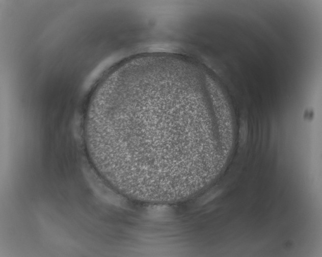 X0000110671454200907021834