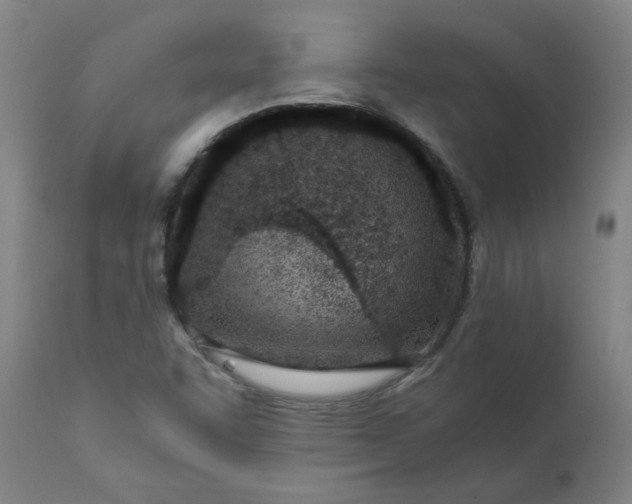 X0000110671455200907021834