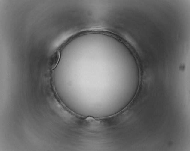 X0000110671456200907021834