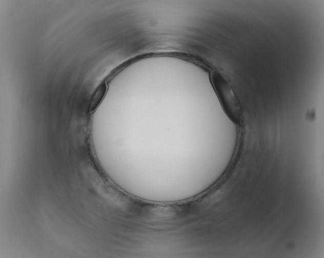 X0000110671457200907021834