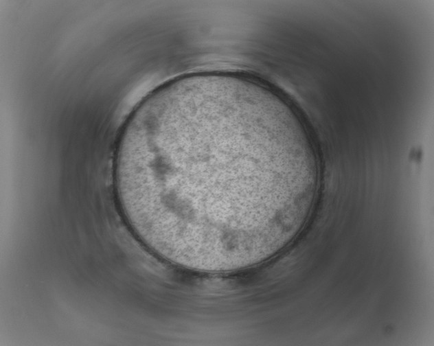 X0000110671459200907021834