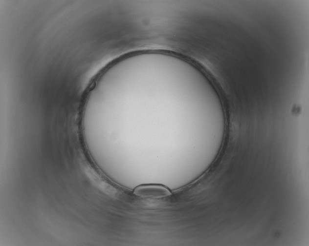 X0000110671460200907021834