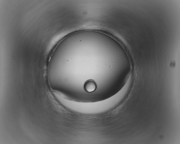 X0000110671461200907021834