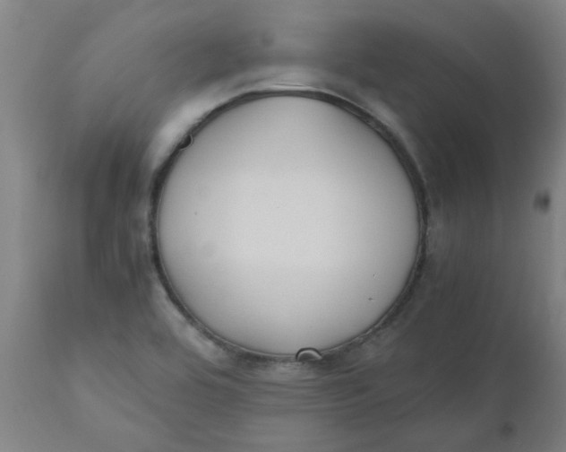 X0000110671464200907021834