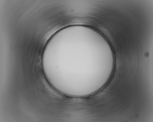 X0000110671465200907021834