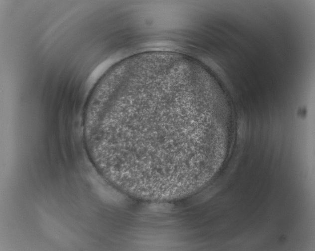 X0000110671466200907021834