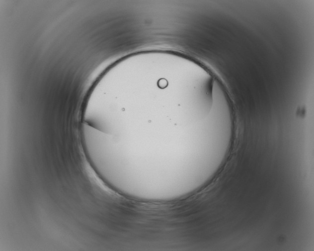 X0000110671468200907021834