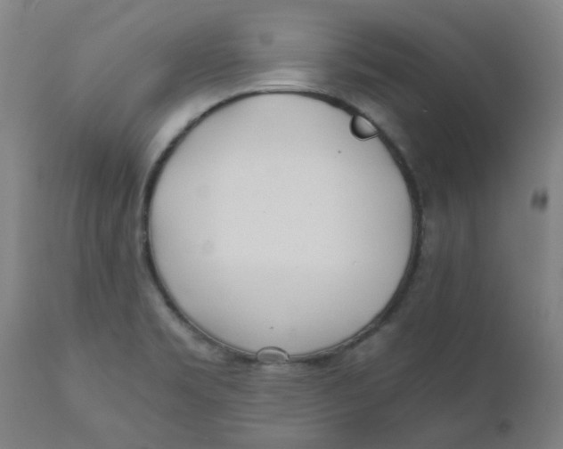 X0000110671469200907021834