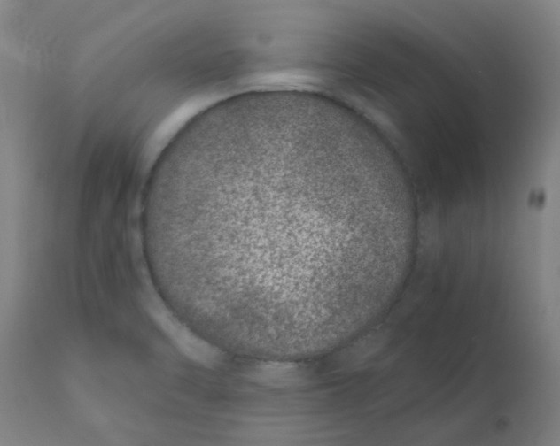 X0000110671470200907021834