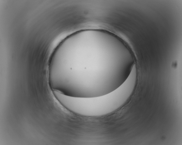 X0000110671472200907021834