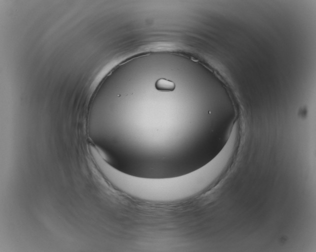 X0000110671473200907021834