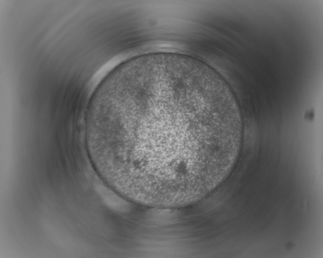 X0000110671474200907021834