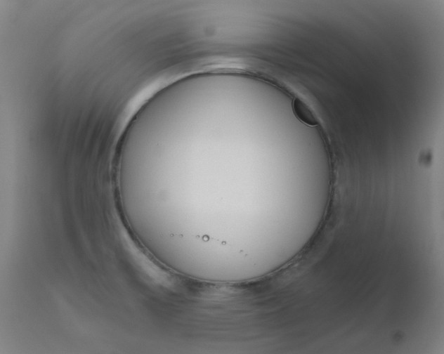 X0000110671475200907021834