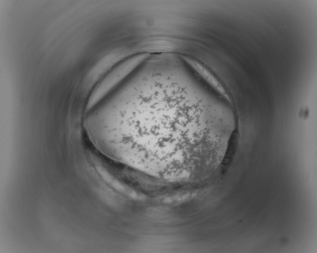 X0000110671477200907021834
