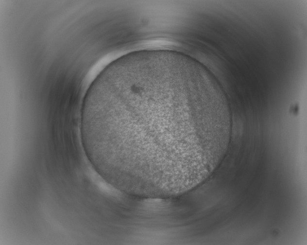 X0000110671478200907021834