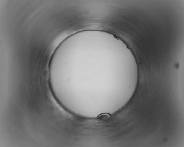 X0000110671479200907021834