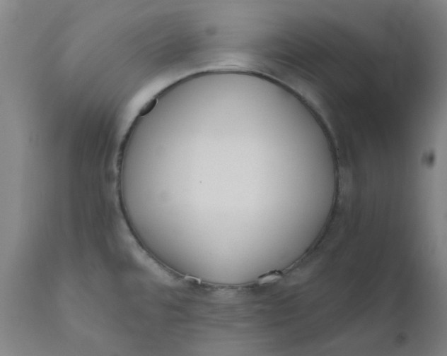 X0000110671480200907021834