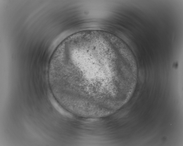 X0000110671482200907021834