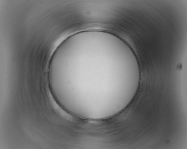 X0000110671483200907021834