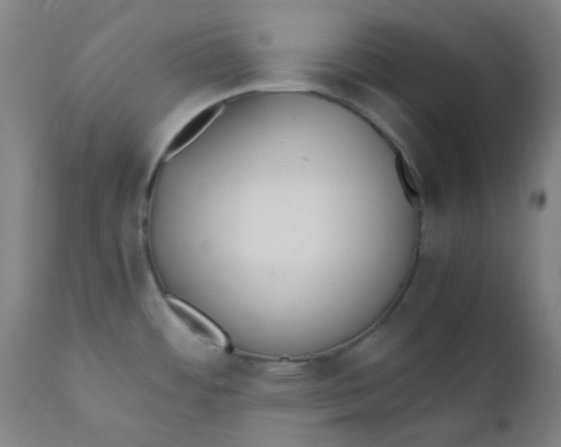 X0000110671484200907021834