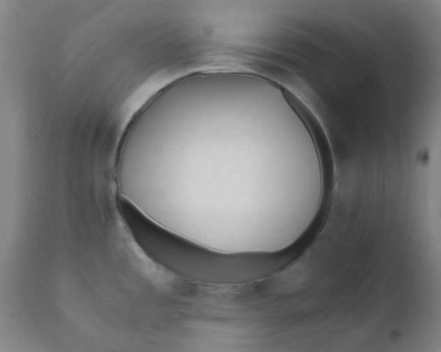 X0000110671485200907021834