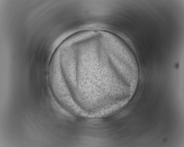 X0000110671486200907021834