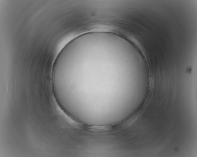X0000110671487200907021834