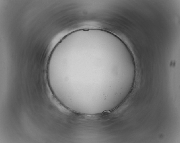 X0000110671488200907021834