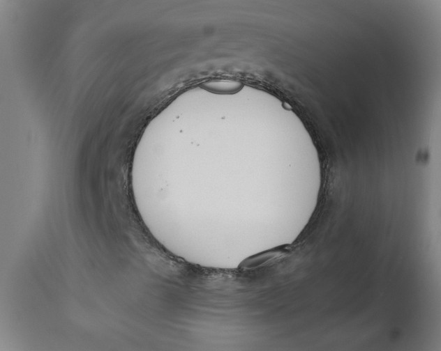 X0000110671489200907021833