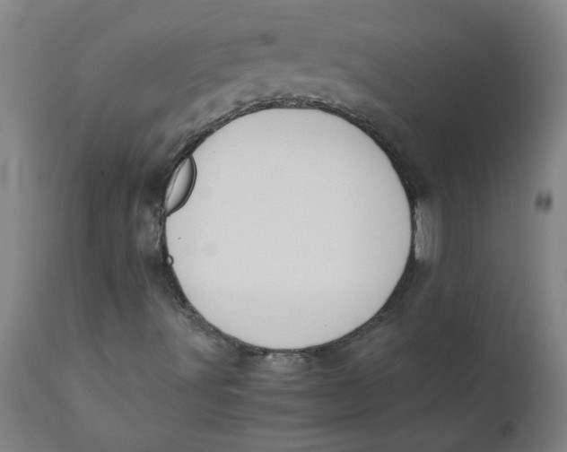 X0000110671491200907021833